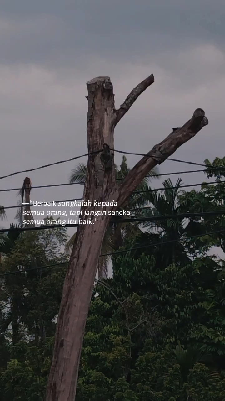 @EllyArdi✓🇲🇨
