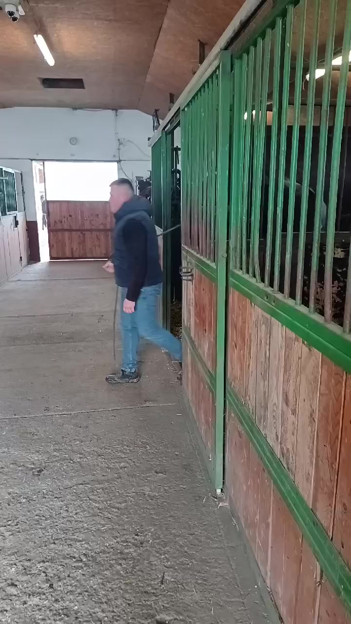 @G&aacute;bor