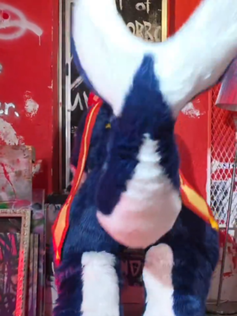 @radywolf