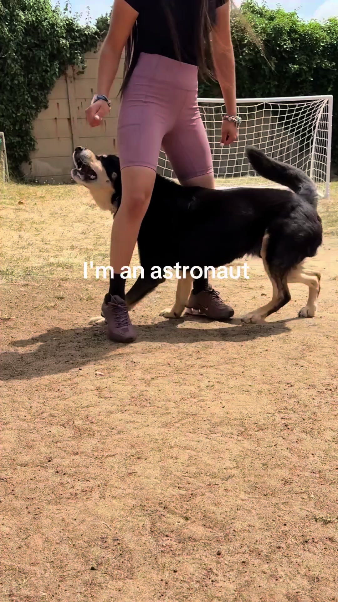 @Pawsome Fivesome