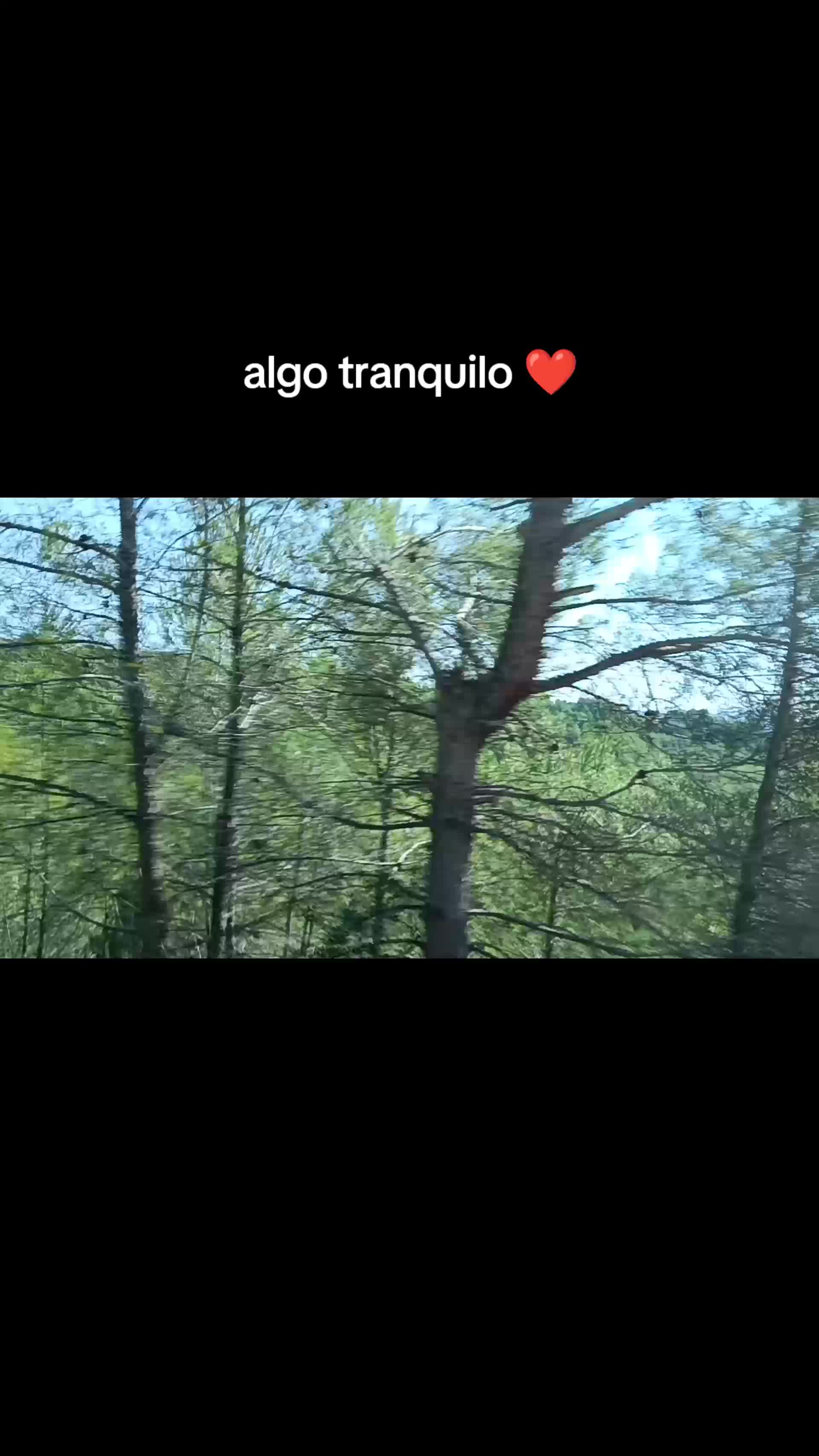 @Laurix_bcn🇪🇦