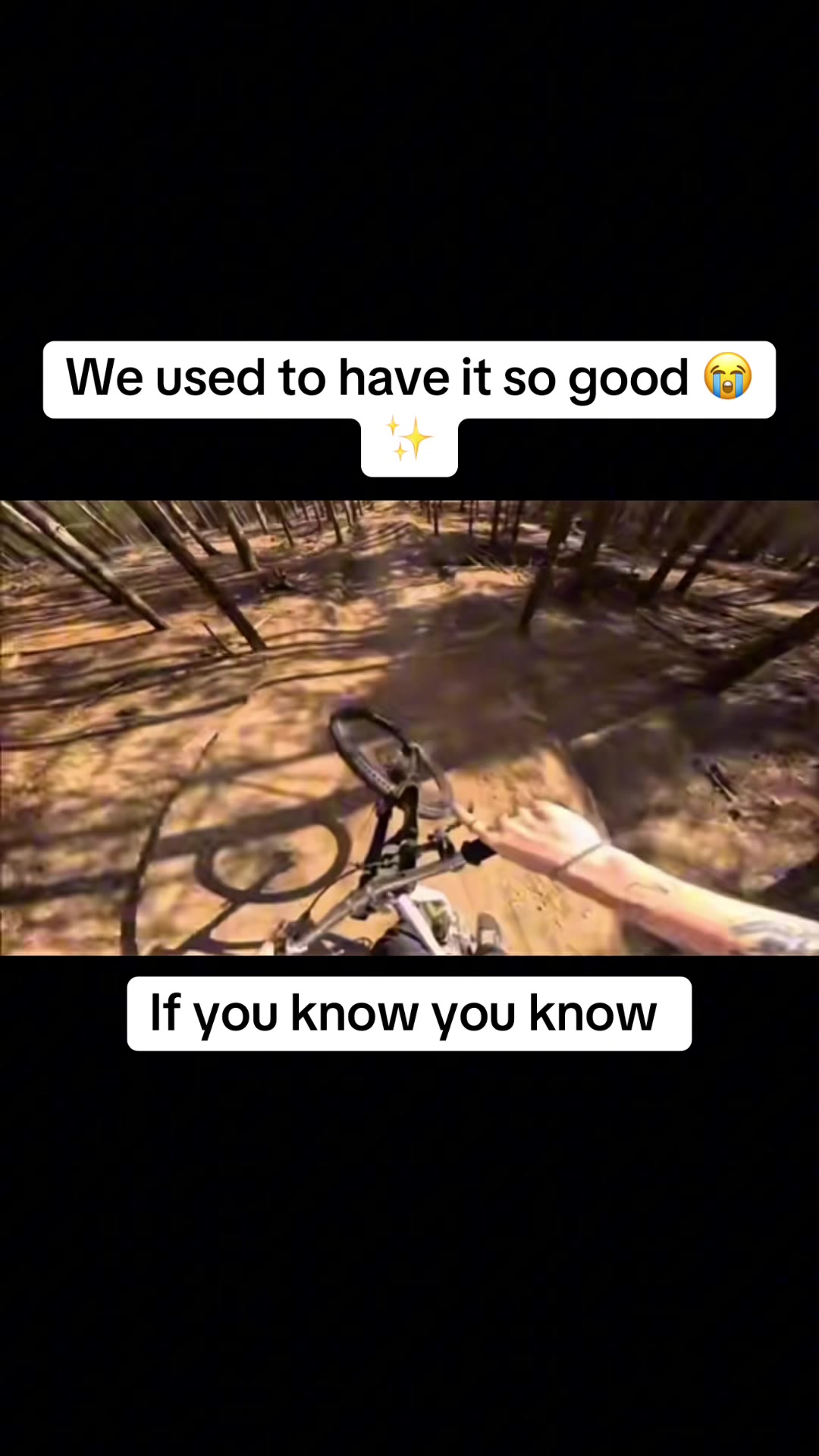 @𝕬𝖑𝖋𝖎𝖊 𝕳𝖆𝖗𝖗𝖎𝖘