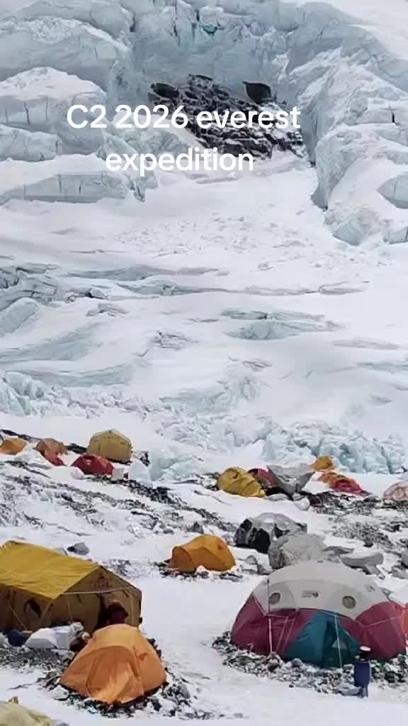 @icefall doctor 2026
