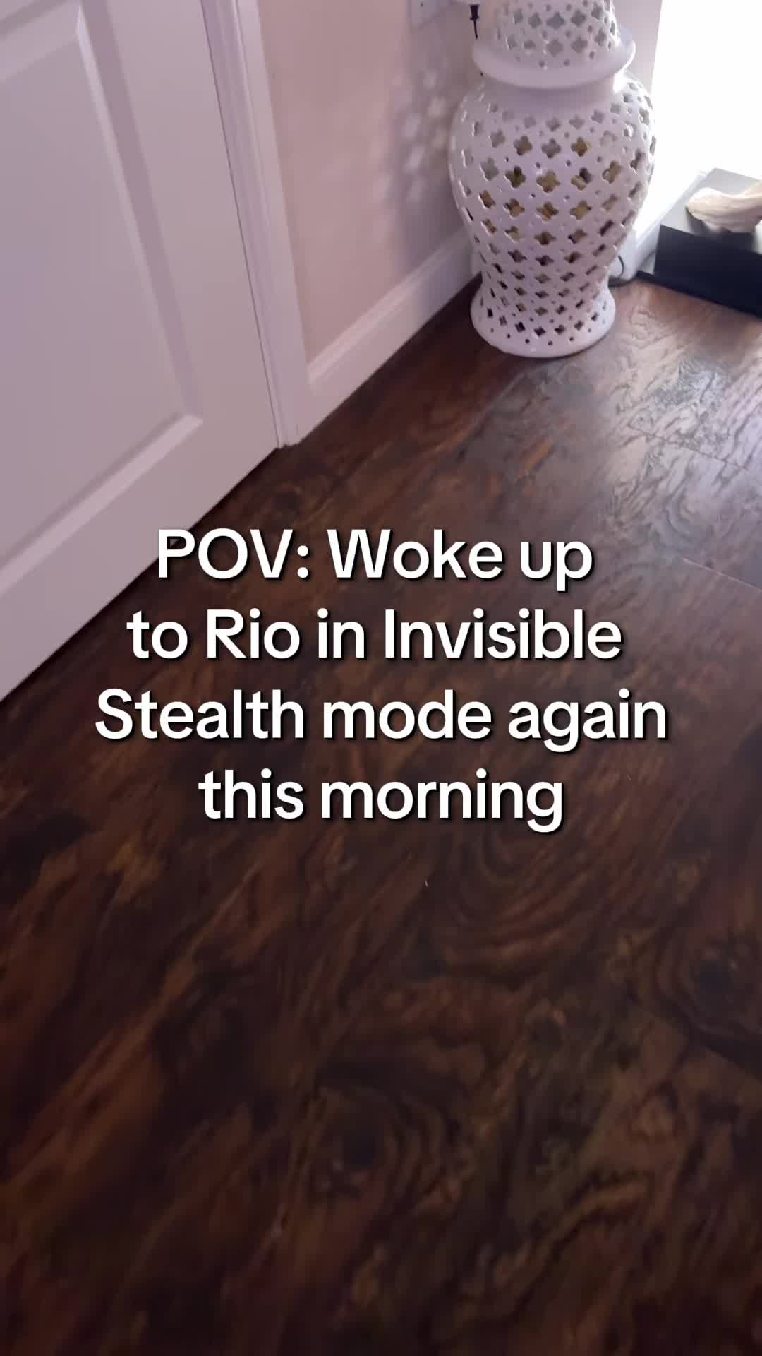 @Rio