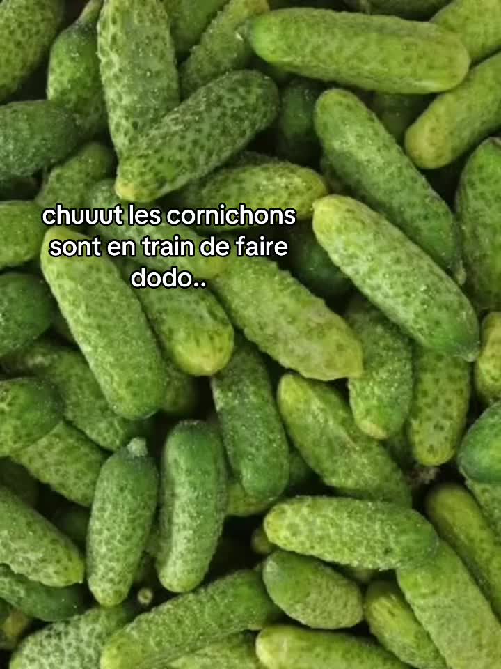@𝐮𝐳𝐞𝐫.𝐥𝐳7