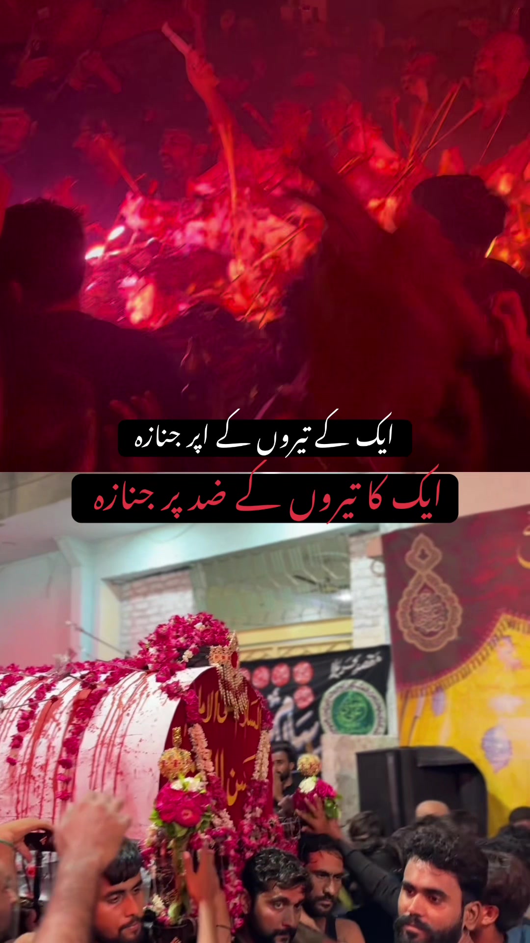 @Najaf Ali Memon 👑