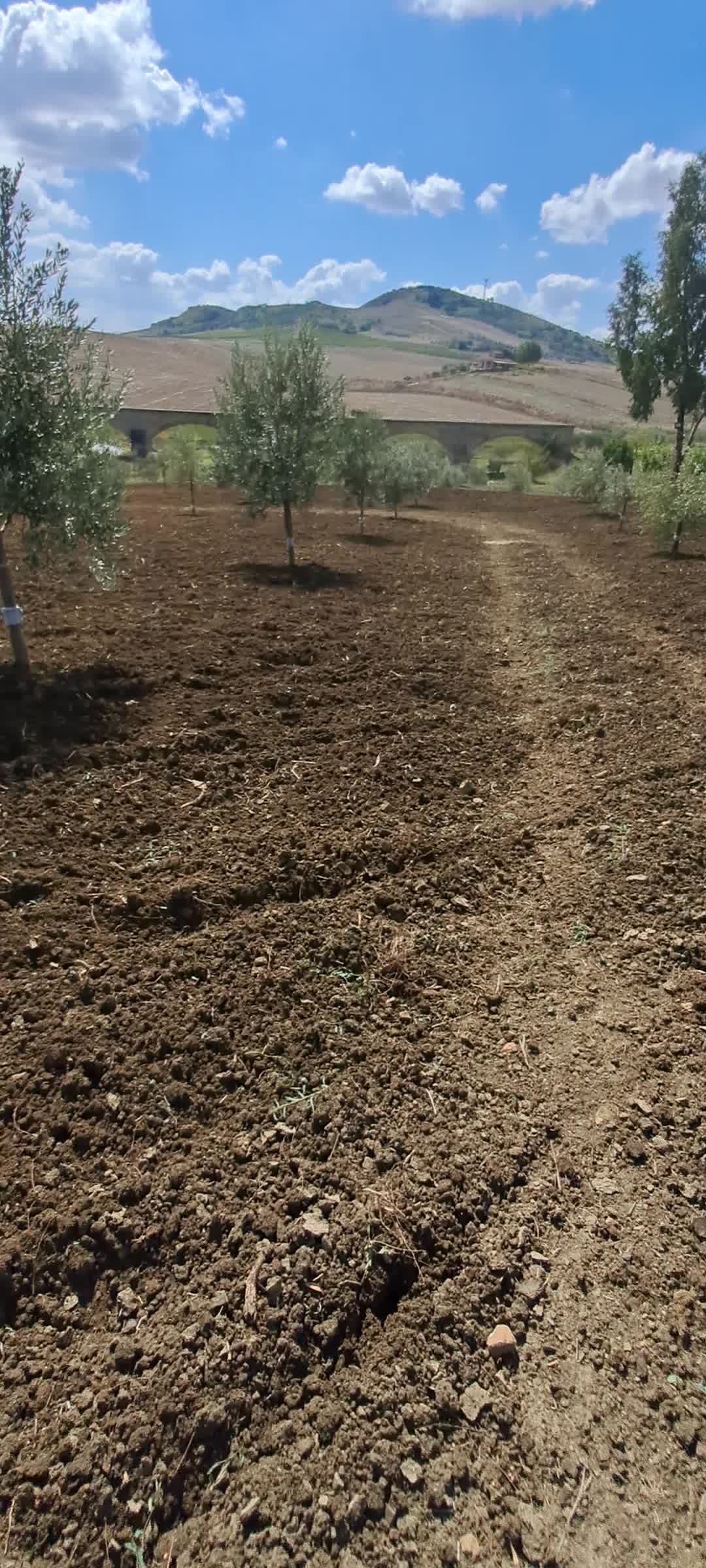 @Maurizio mulè