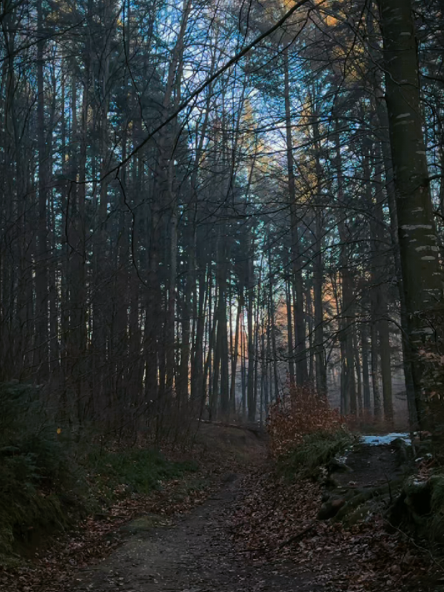 @4KNature