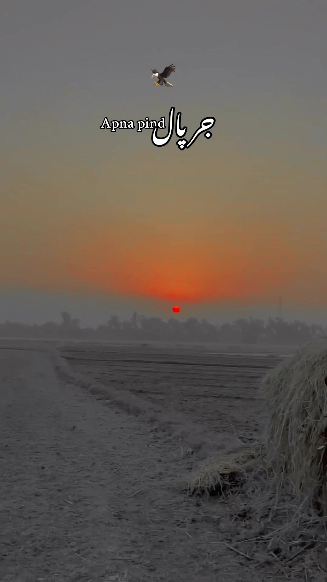 @Apna pind jarpal