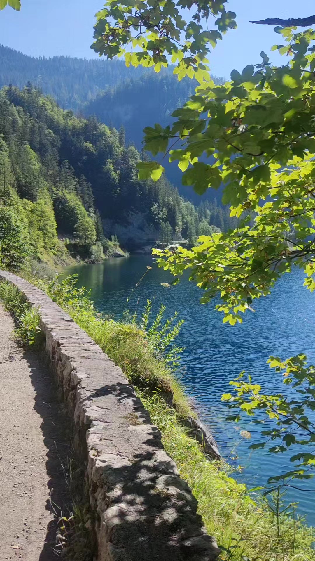 @Franziska🍀🇦🇹🍀