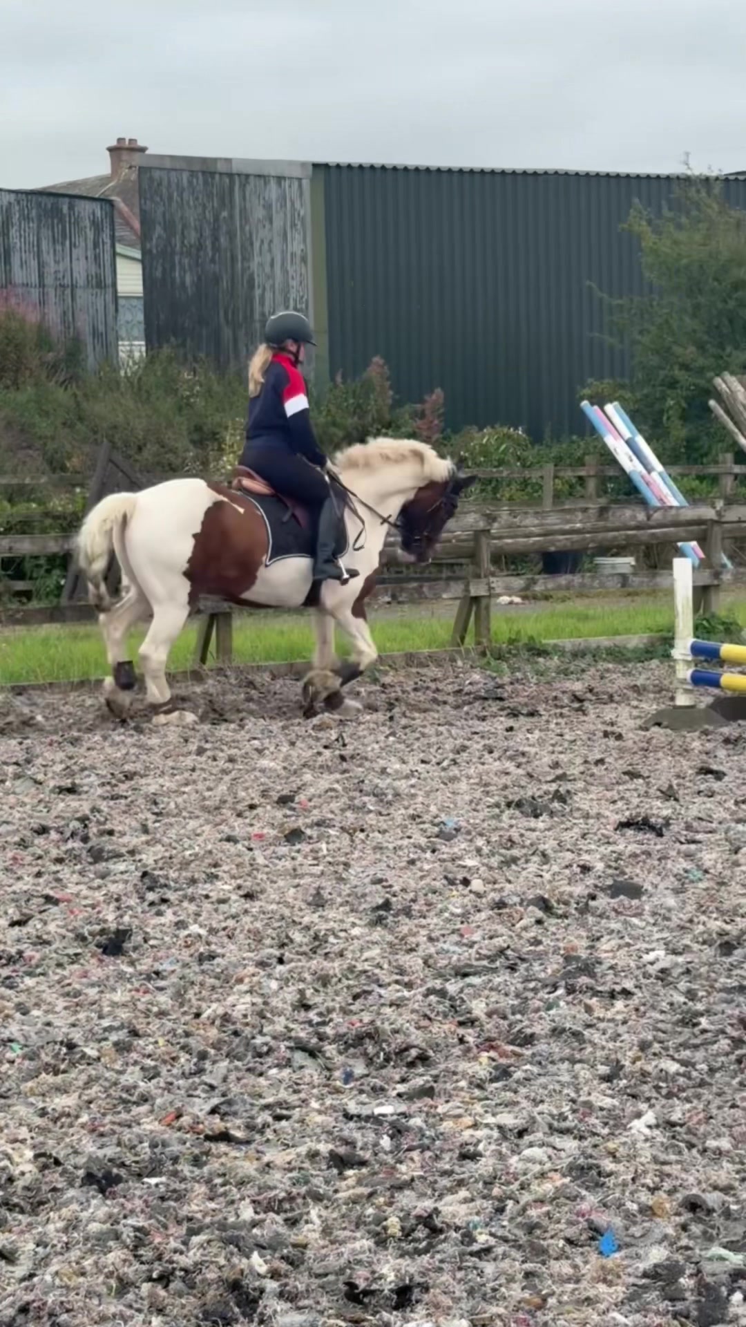 @Lilywiththecobs🐴
