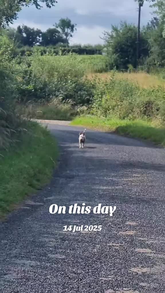 @Seamie 11 11