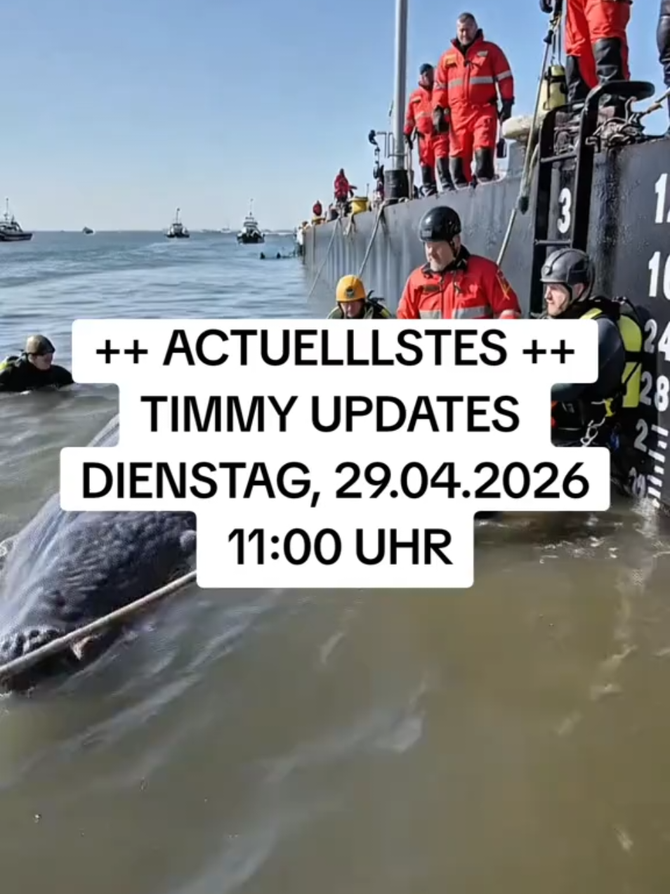 @Noticias r&aacute;pidas