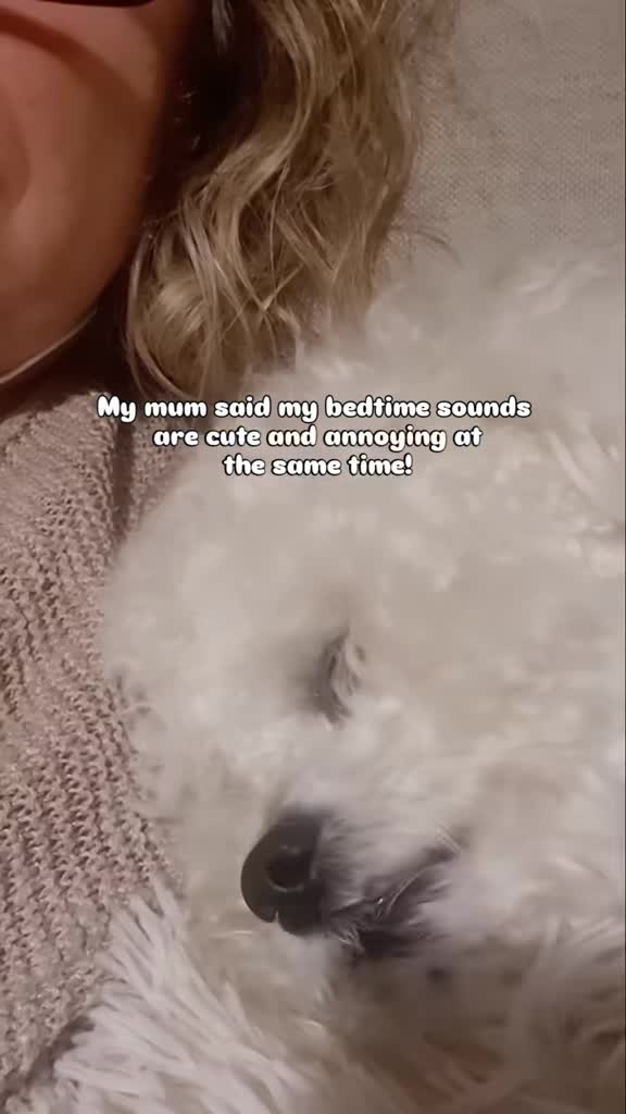 @Luna