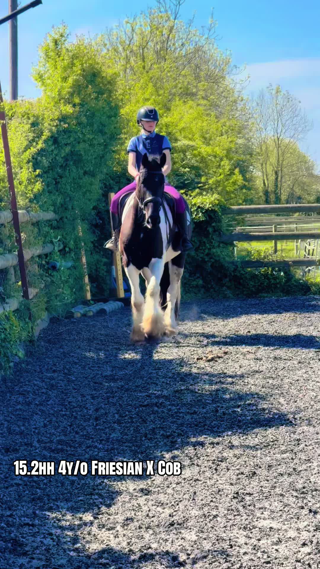 @LW_Equestrian