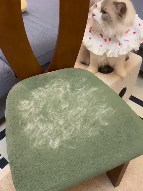 @bxfqklxin
