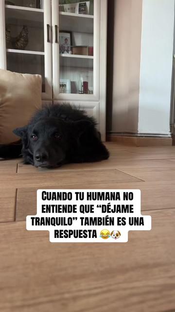 @Luiggi the Dog