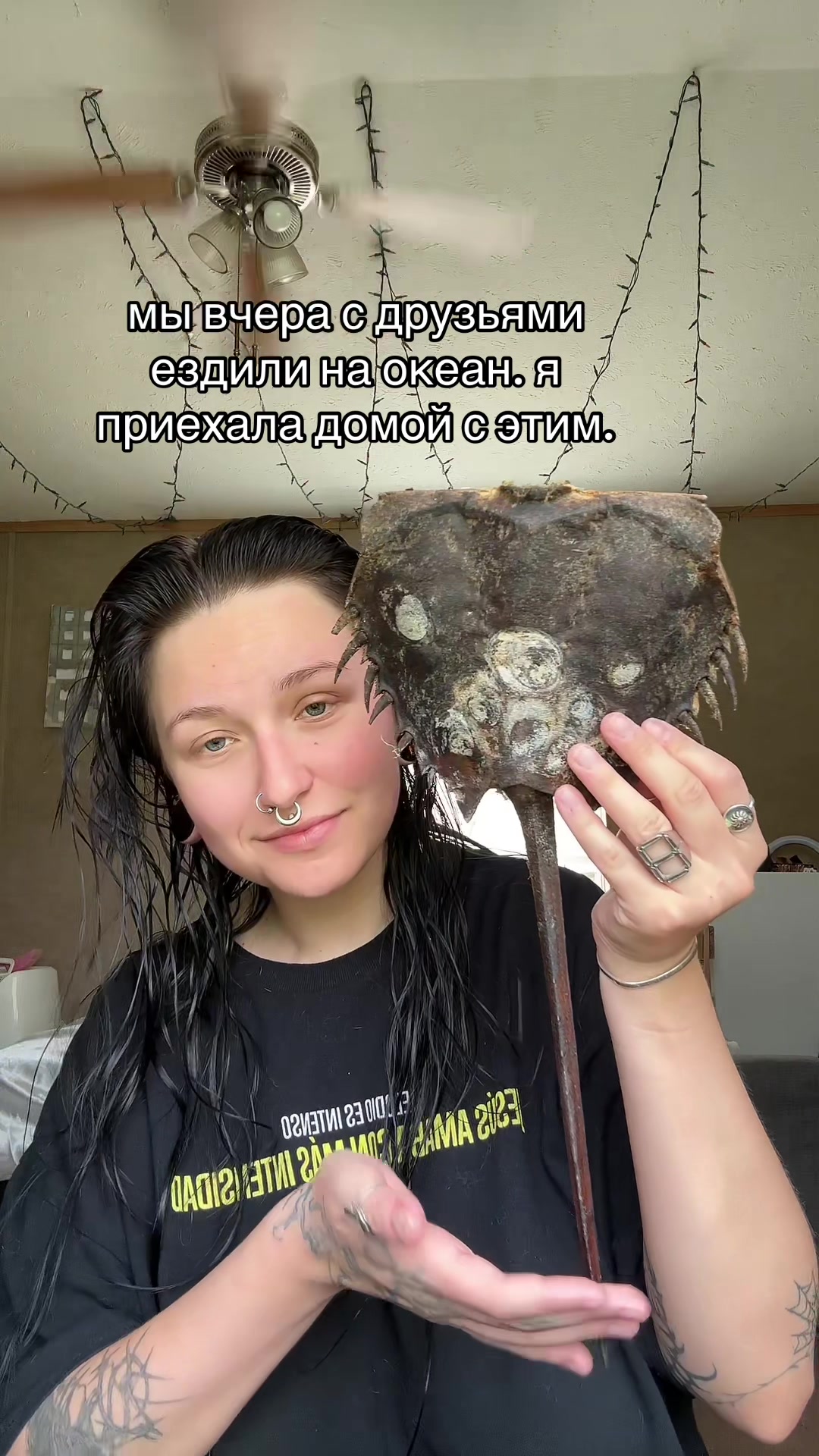 @крис