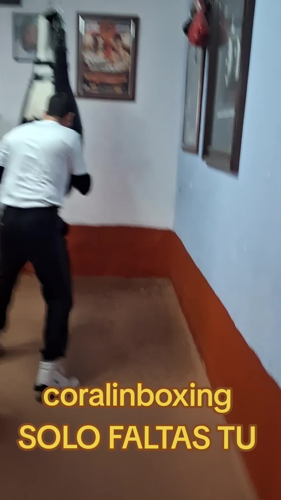 @Coralingboxing72