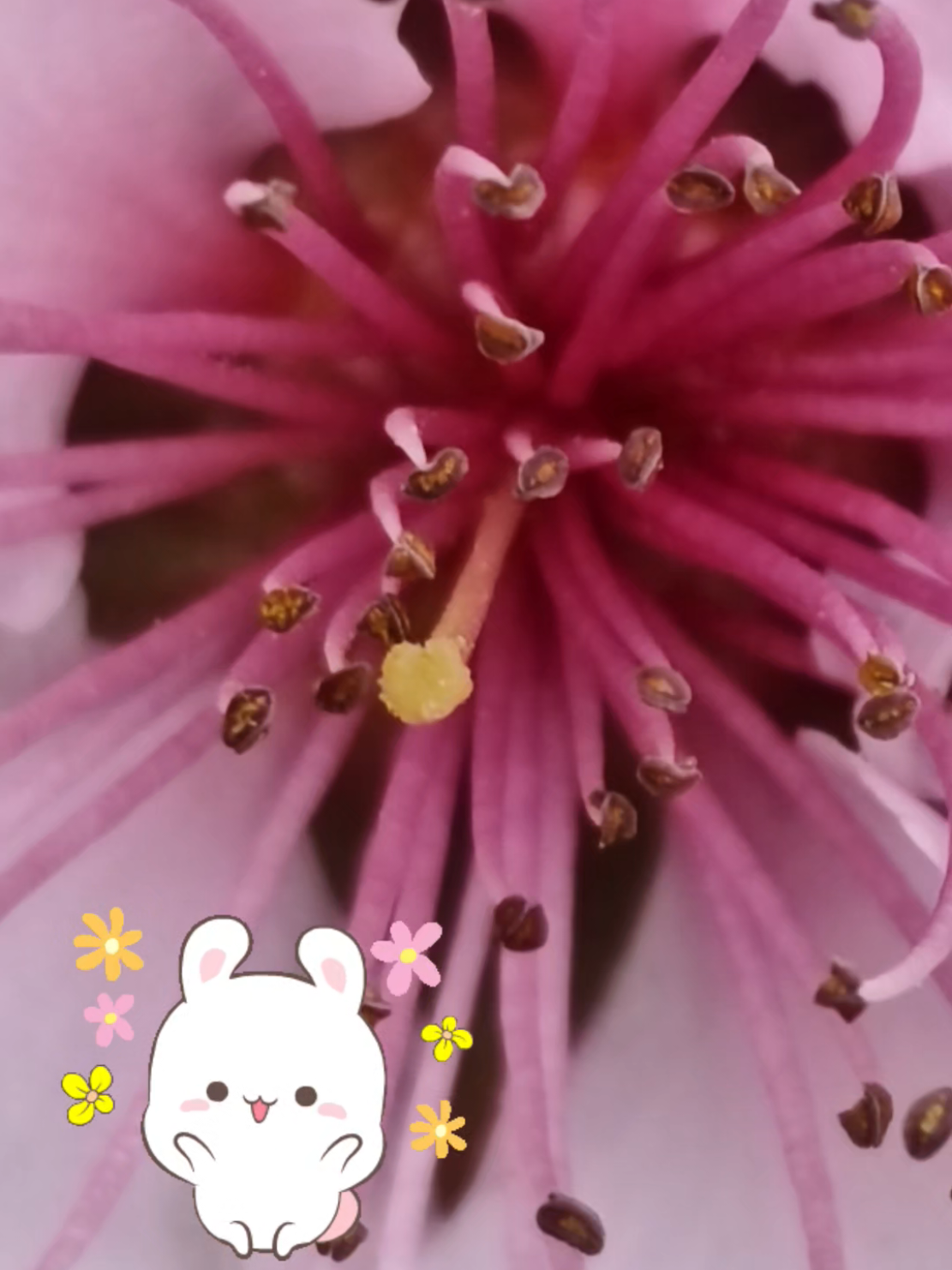 @JardinsMonPlaisir