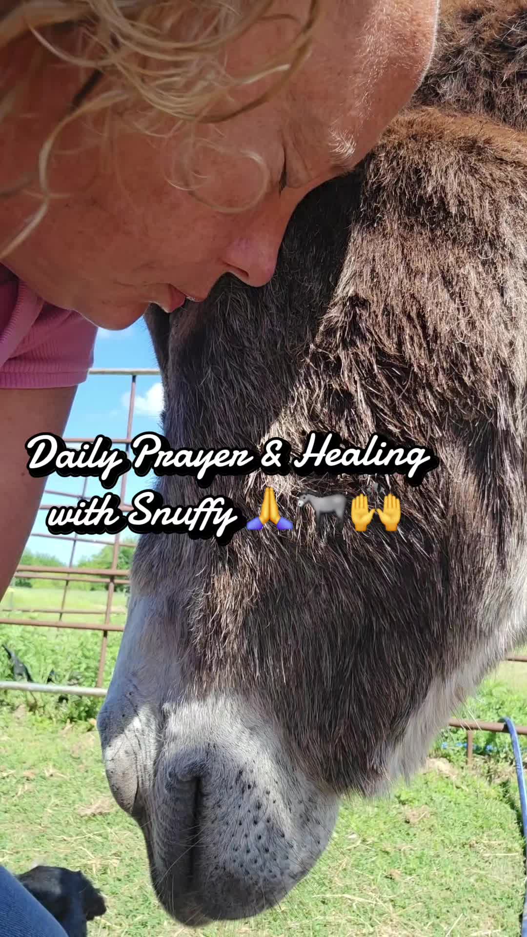 @Fonzy's Farm Rehab & Sanctuary