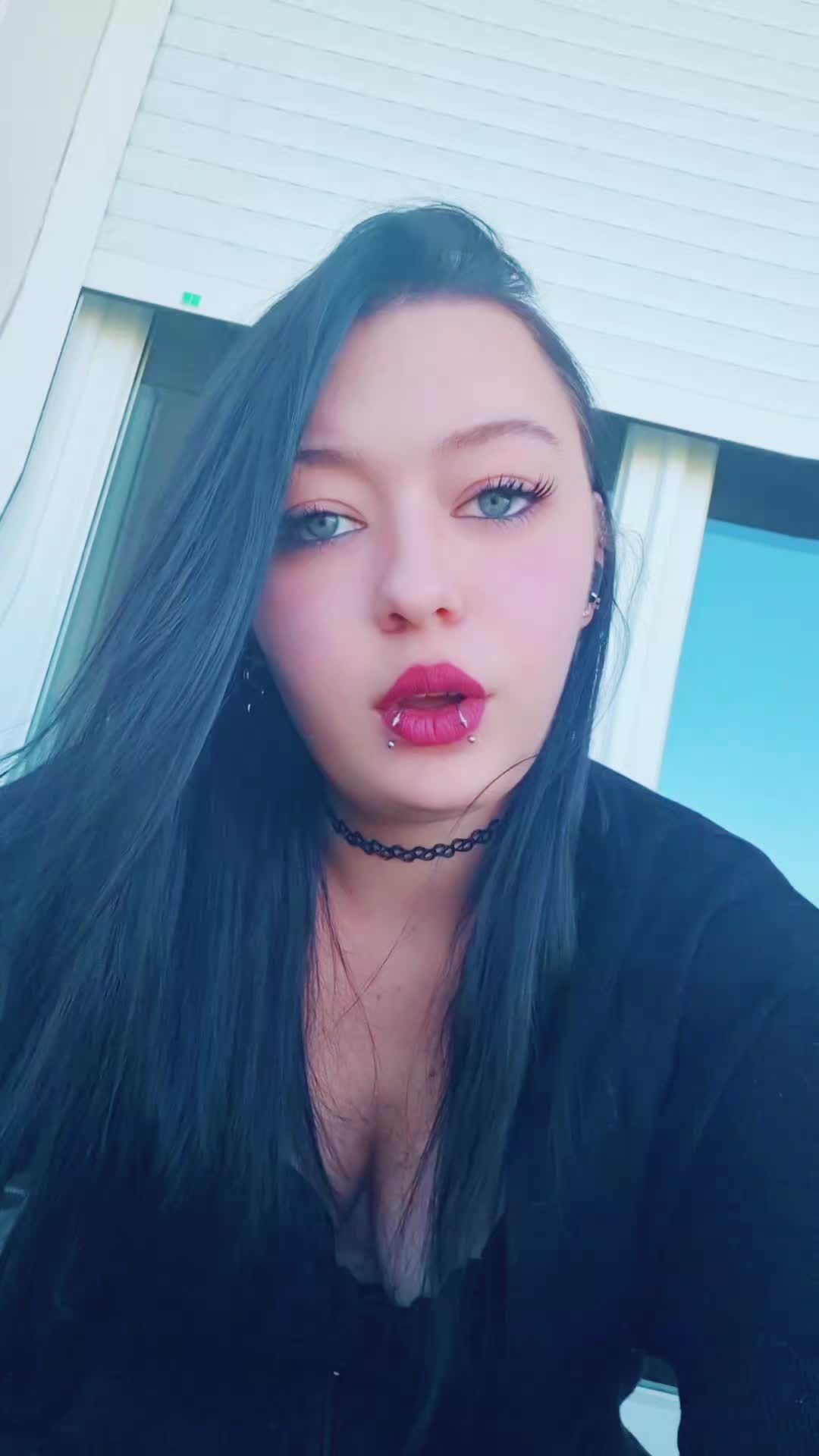 @bvb_spam