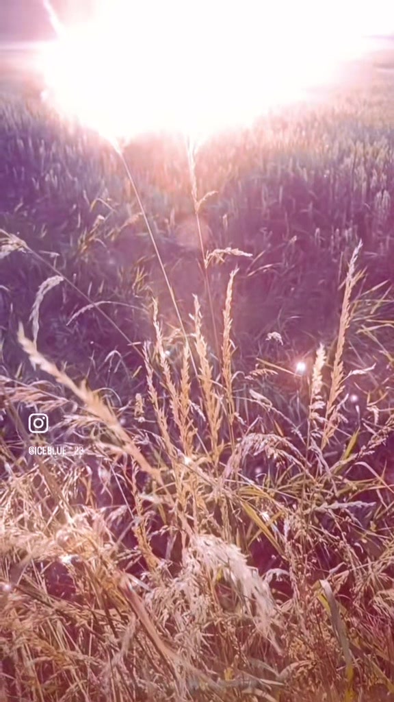 @Opticalsoul-23