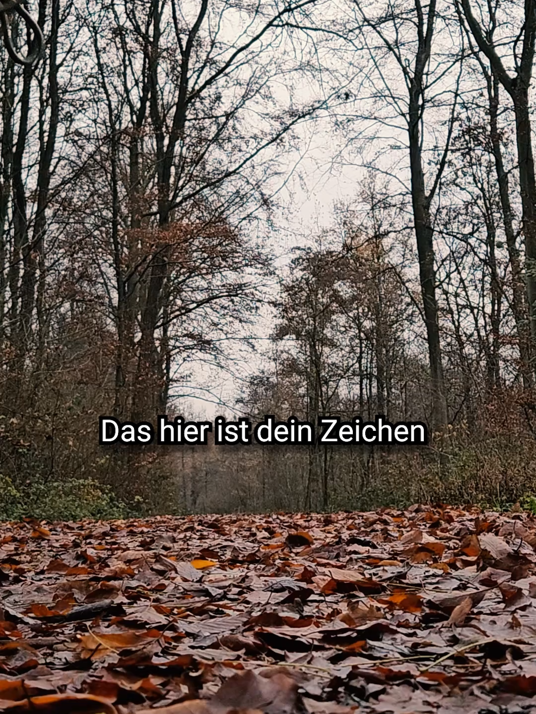 @Philipp Linden