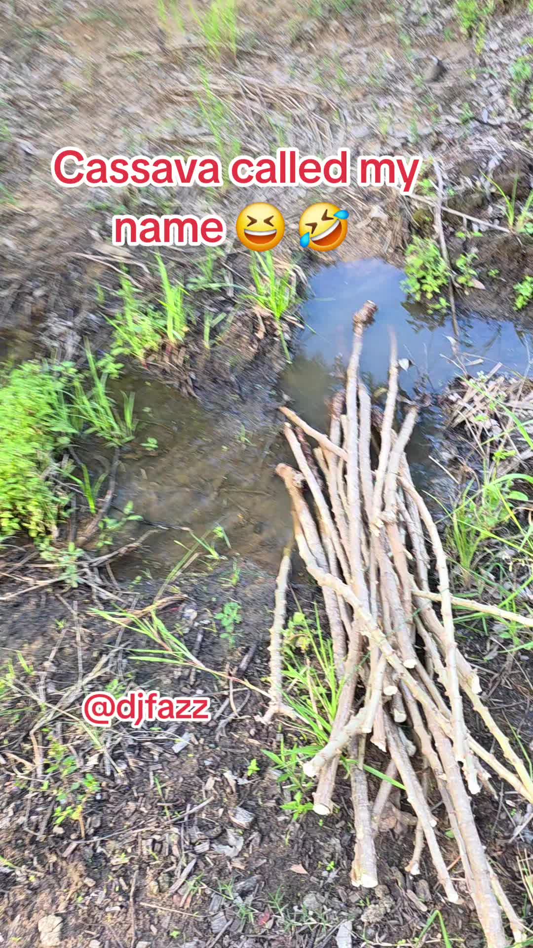 @DJFAZZ 🇳🇬🇦🇺🇫🇮🇬🇲
