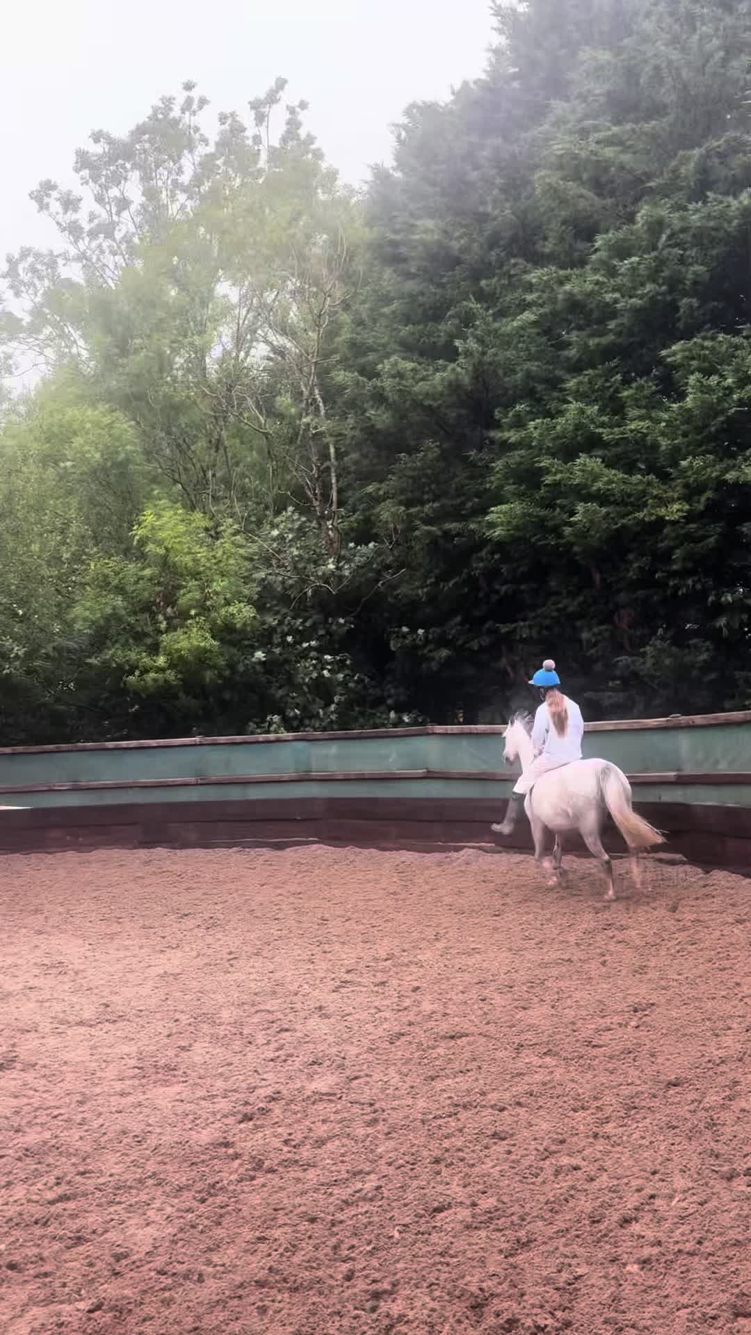 @poppy 🌾🐴 🇬🇧
