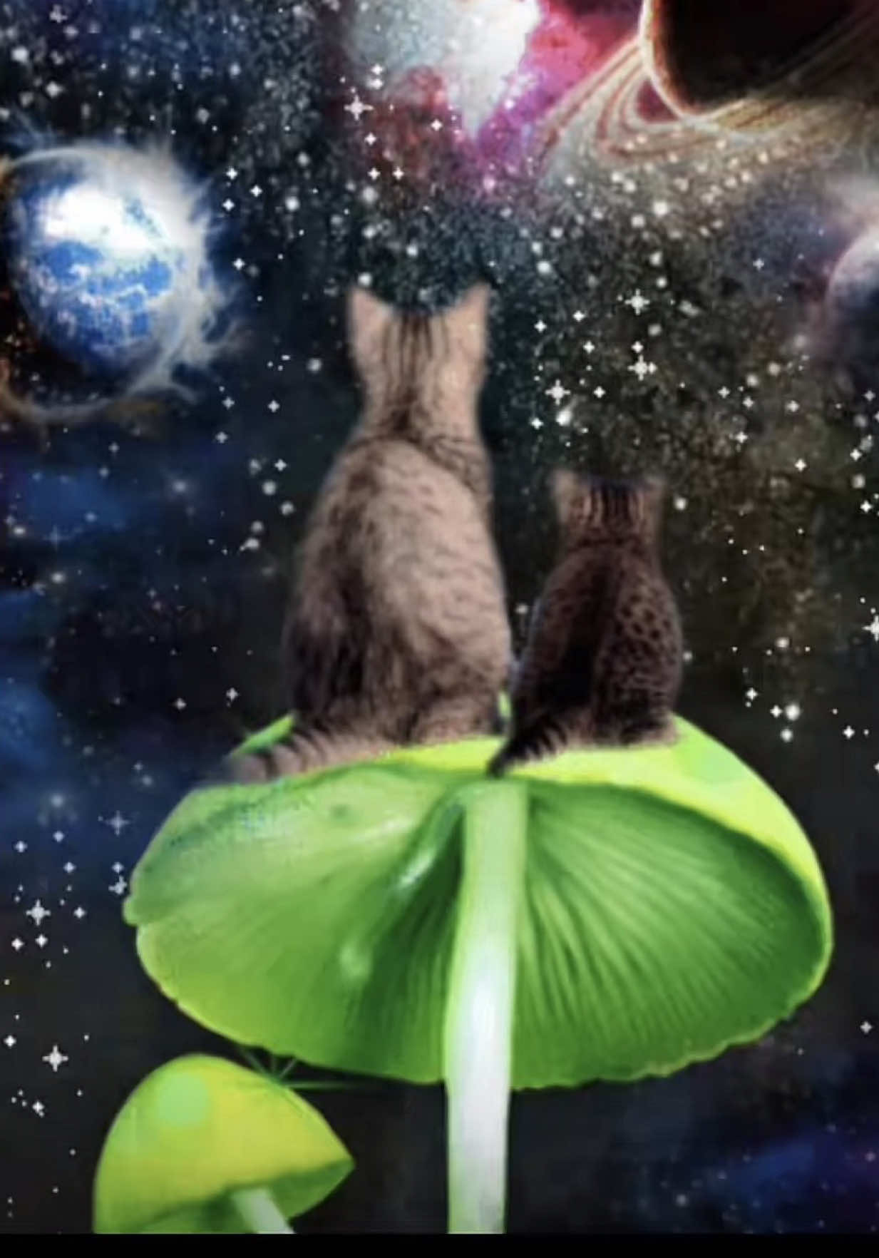 @literally.just.a.alien