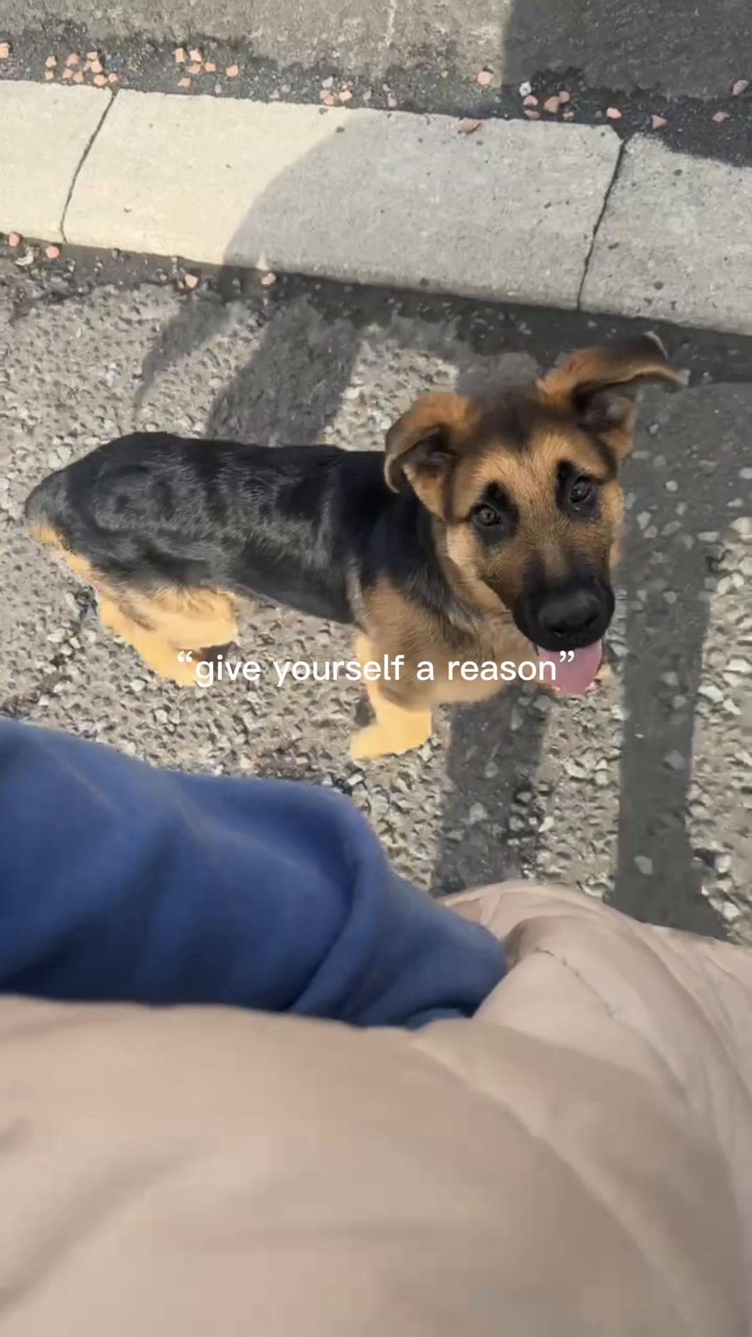 @🍒𝓔𝓵𝓵𝓲𝓮 𝓰𝓪𝓾𝓵𝓽🍒