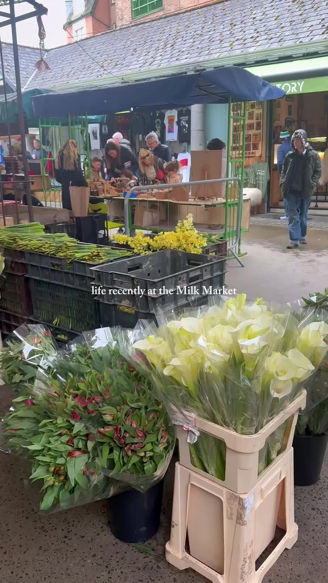 @Limerick Milk Market