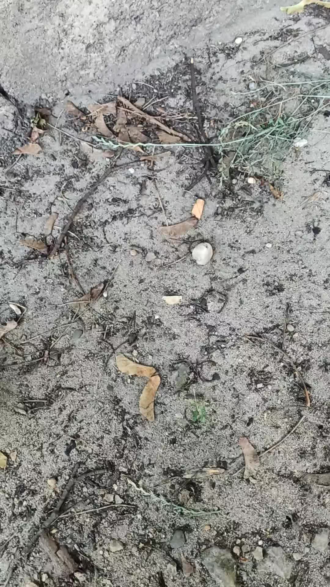 @upadły anioł