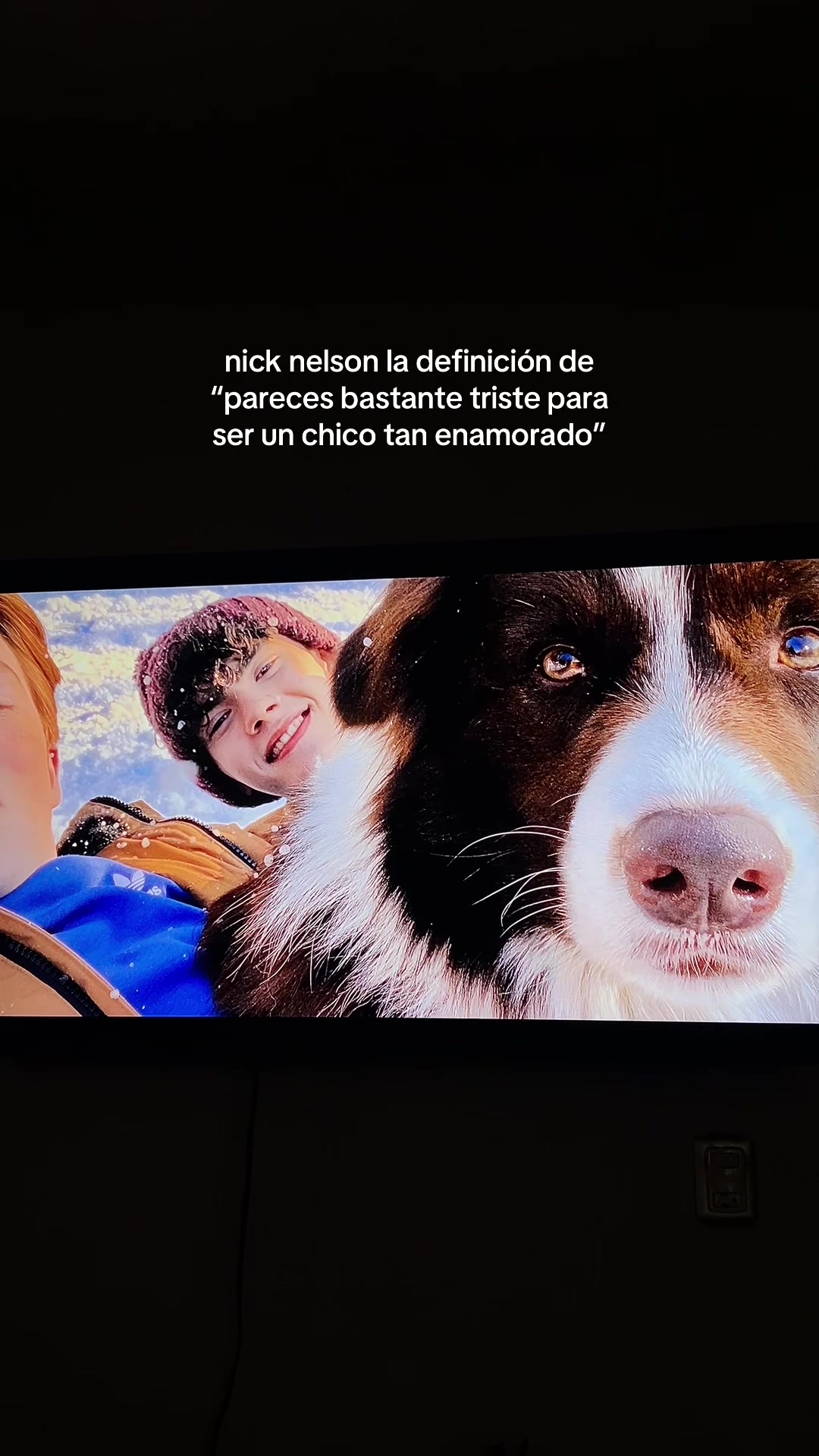 @dani