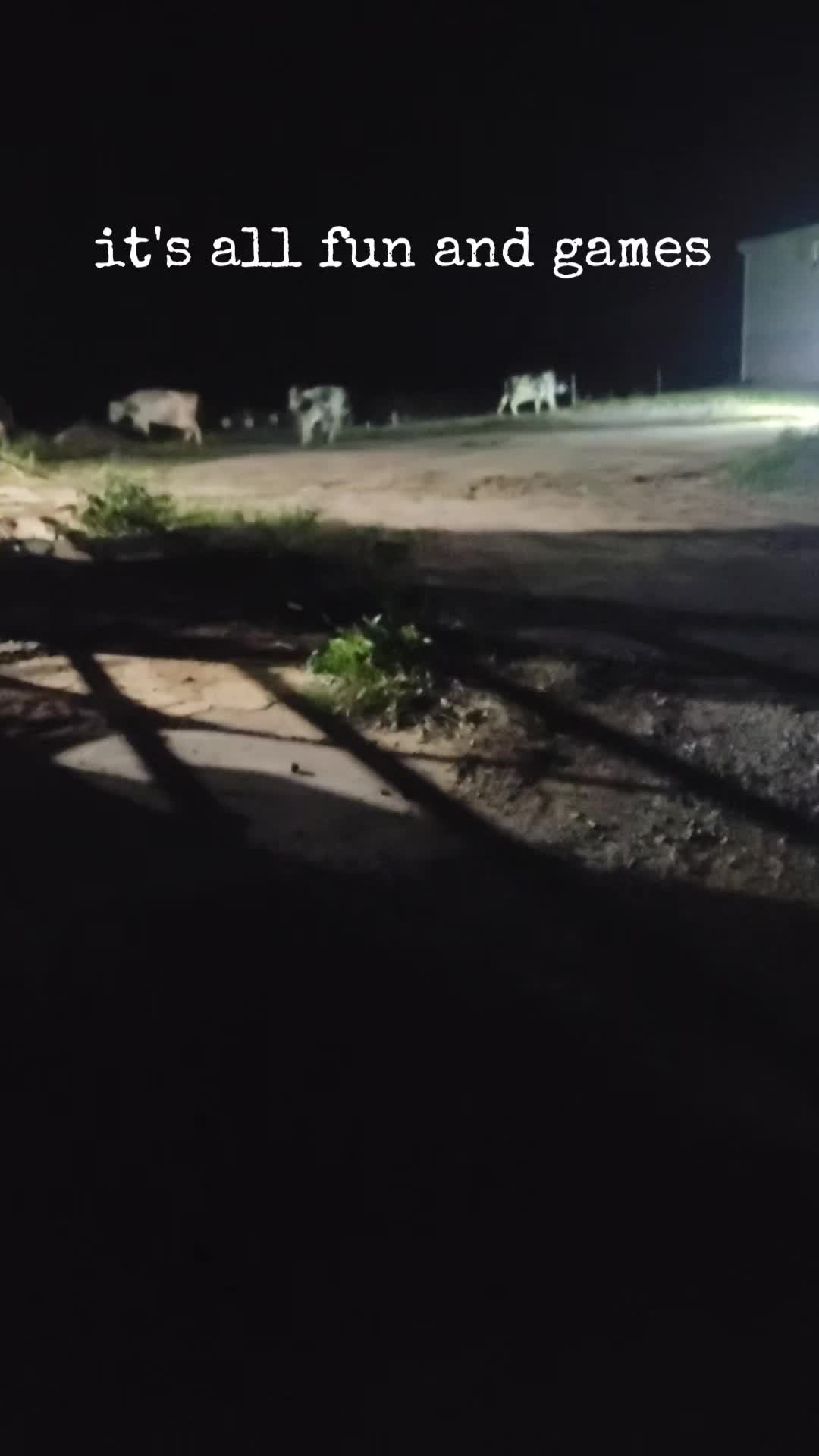 @Just Another FarmFluencer