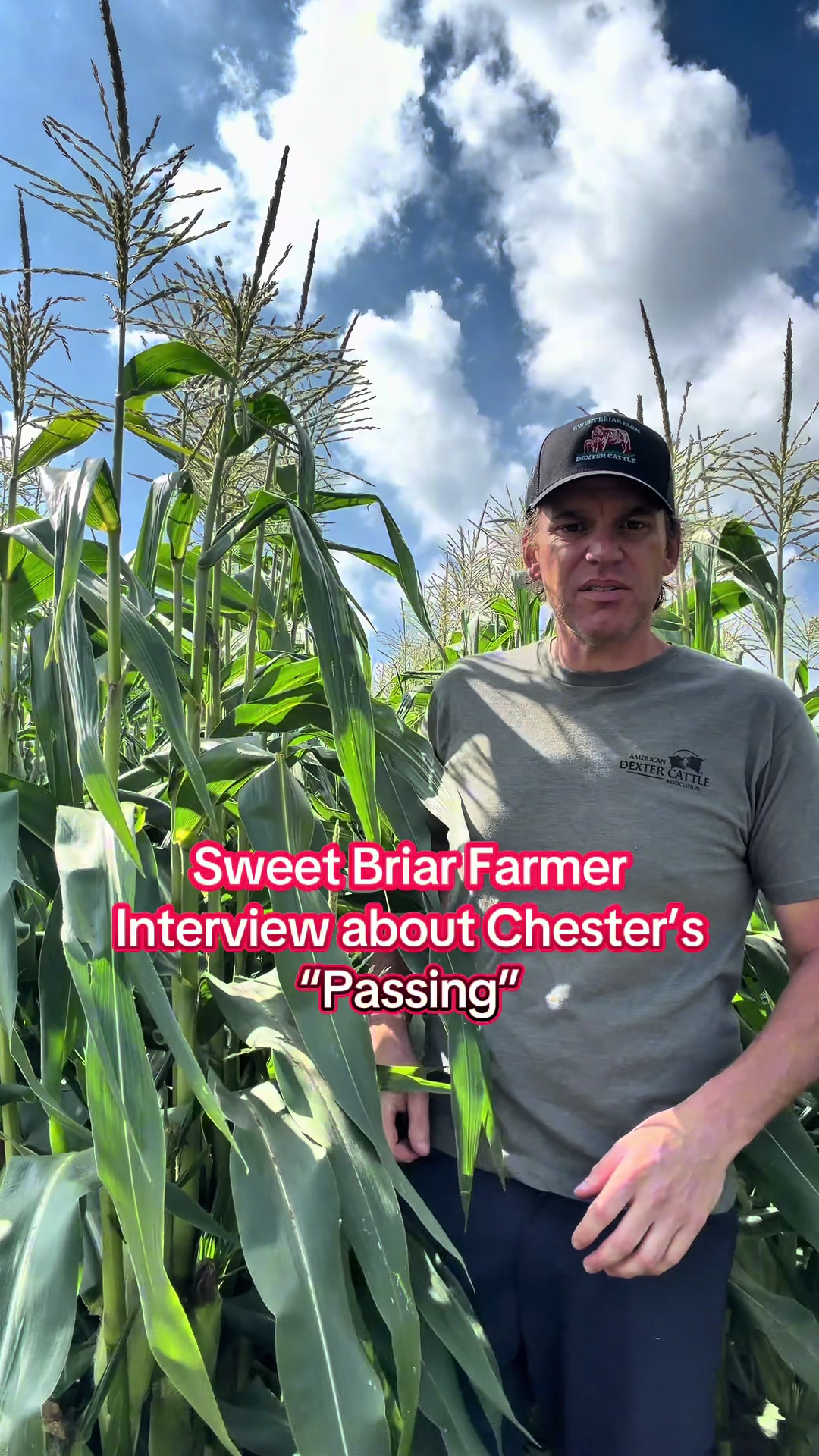 @Sweet Briar Farmer