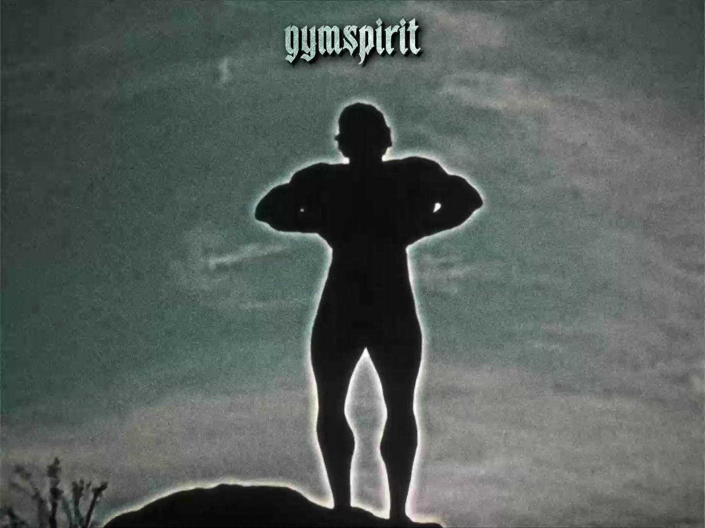 @gymspirit.og