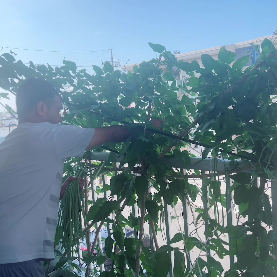 @Manu❤️❤️Shirjan 🧿