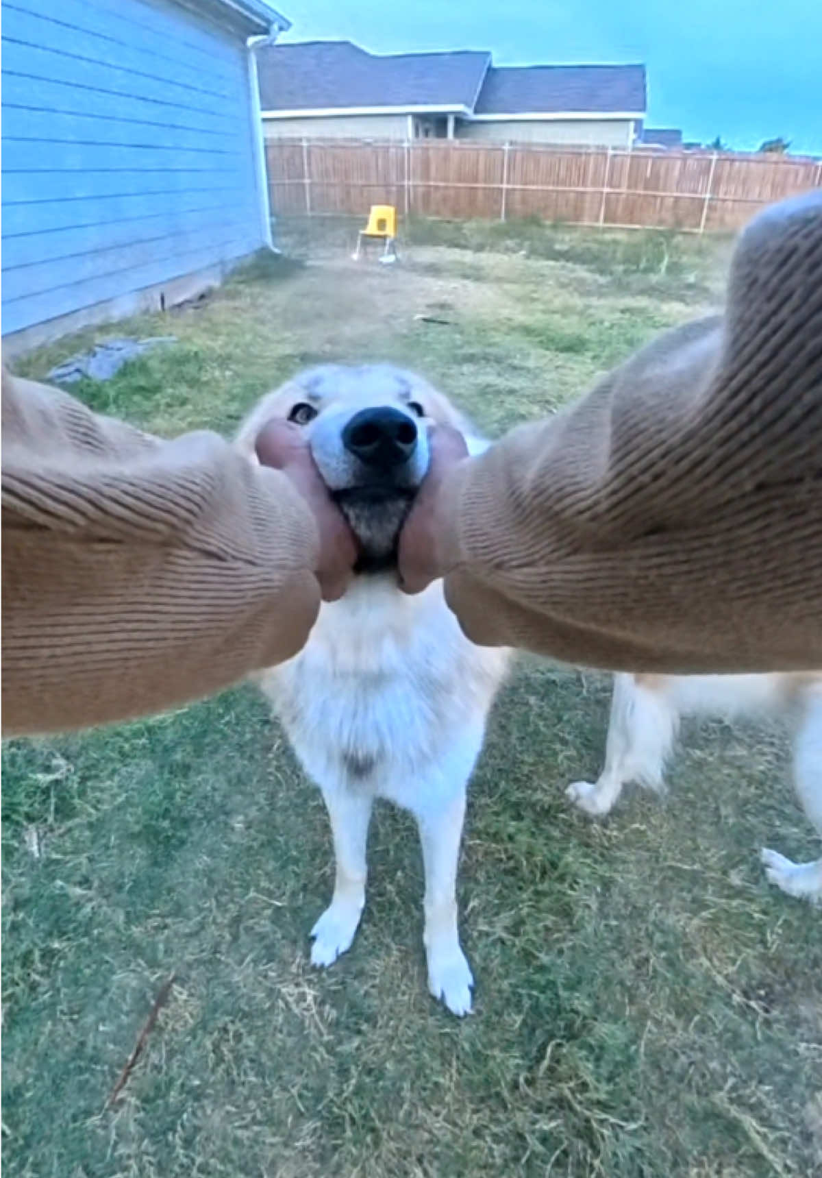 @Neko, Tokahli and Bear