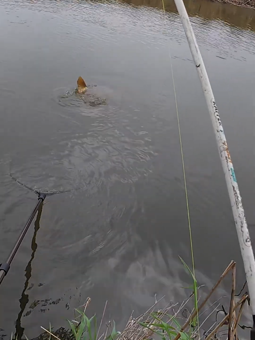 @ribalka_fishing