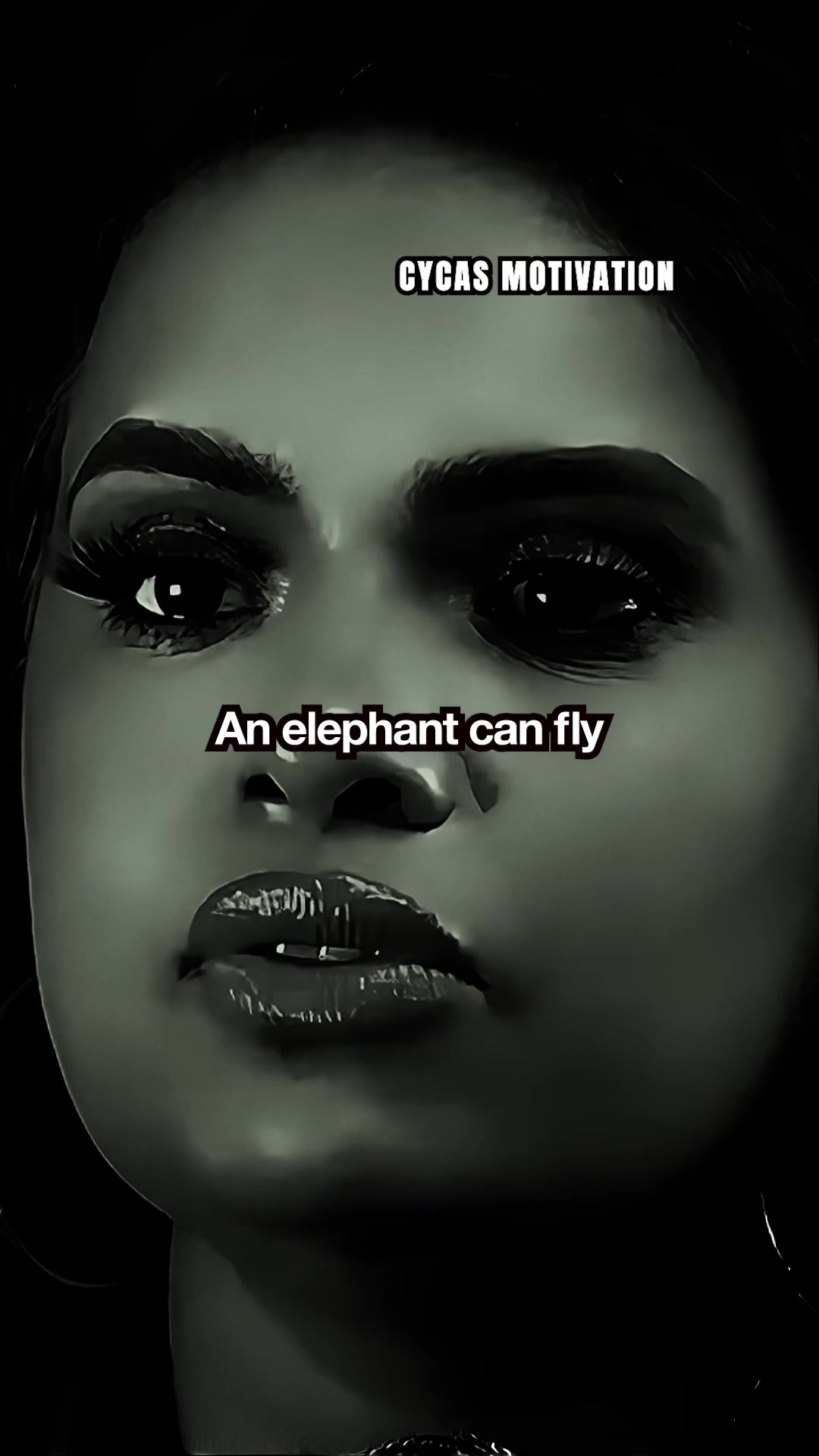 @cycasmotivationofficial