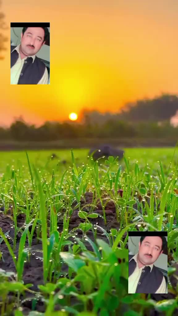 @Syed Imran 11483