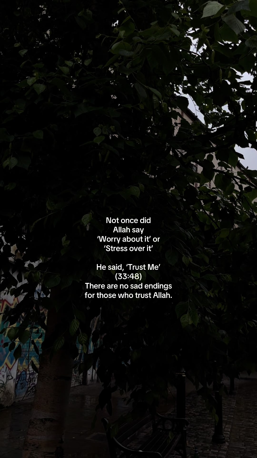 @No Doubt🕊️