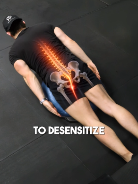 @Recover Pain