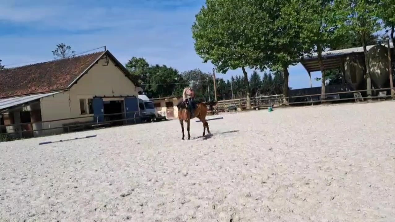 @Aurore& Alinari