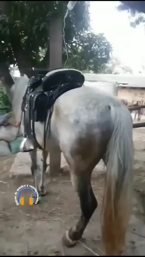 @Ecuador es as&iacute; JARM🇪🇨