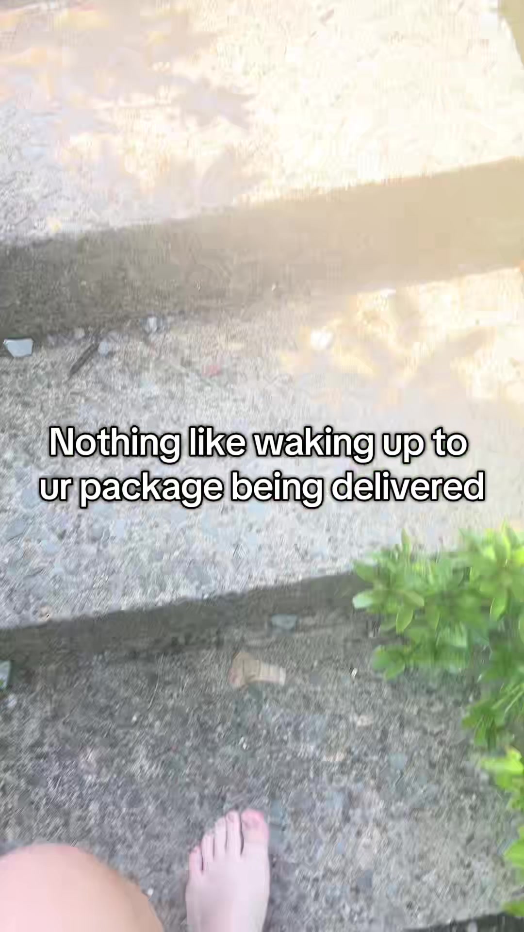 @⟢ Sia