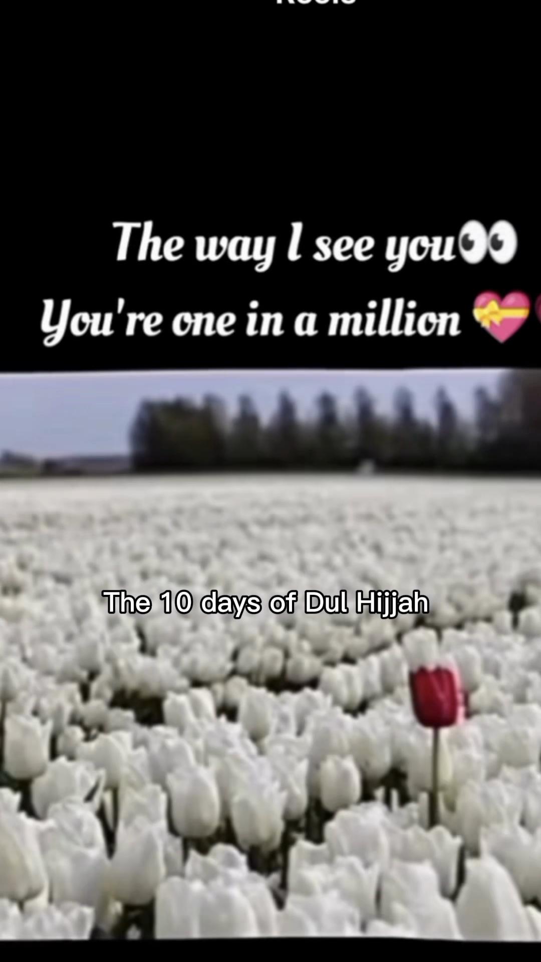 @Umair Khan