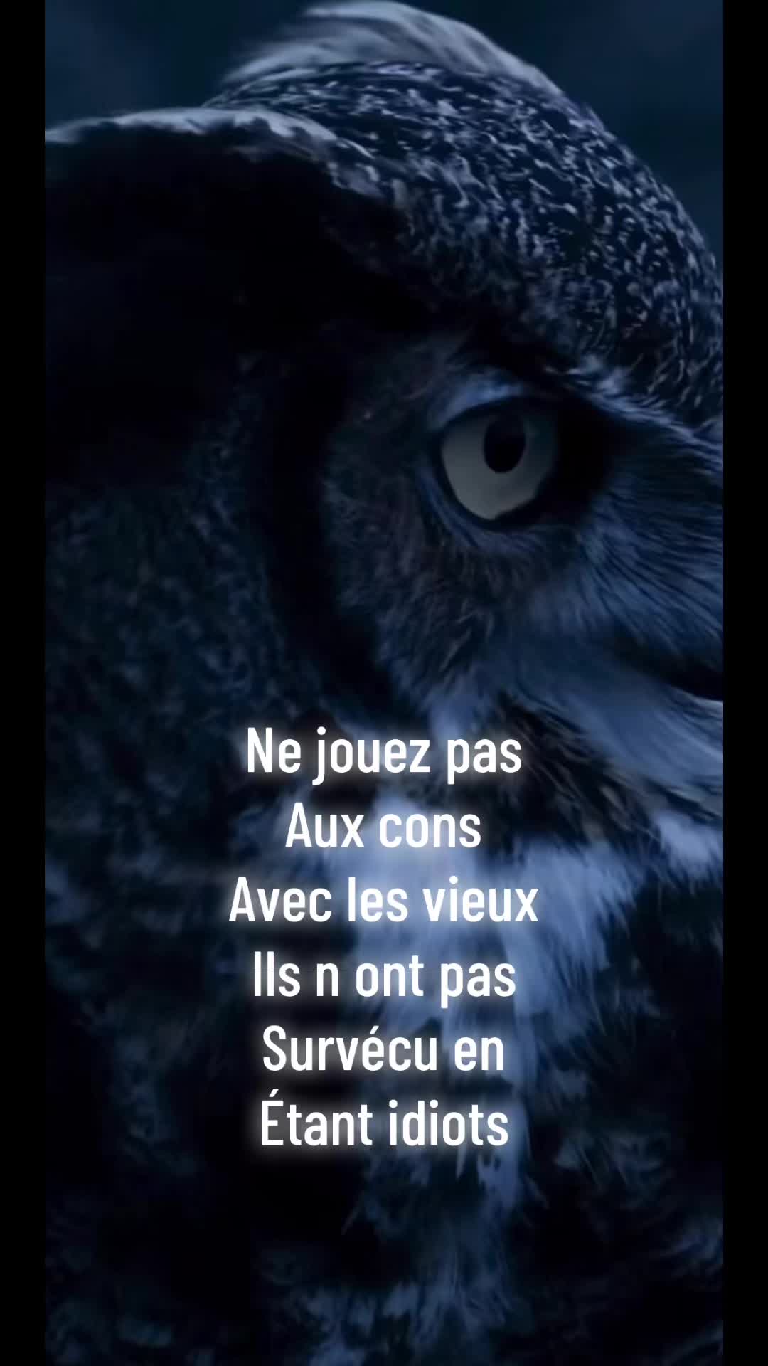 @hibou débrouillard